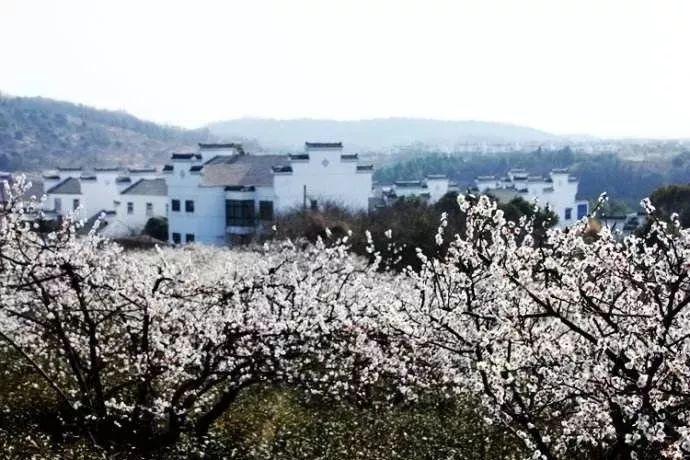 英雄联盟官方助手